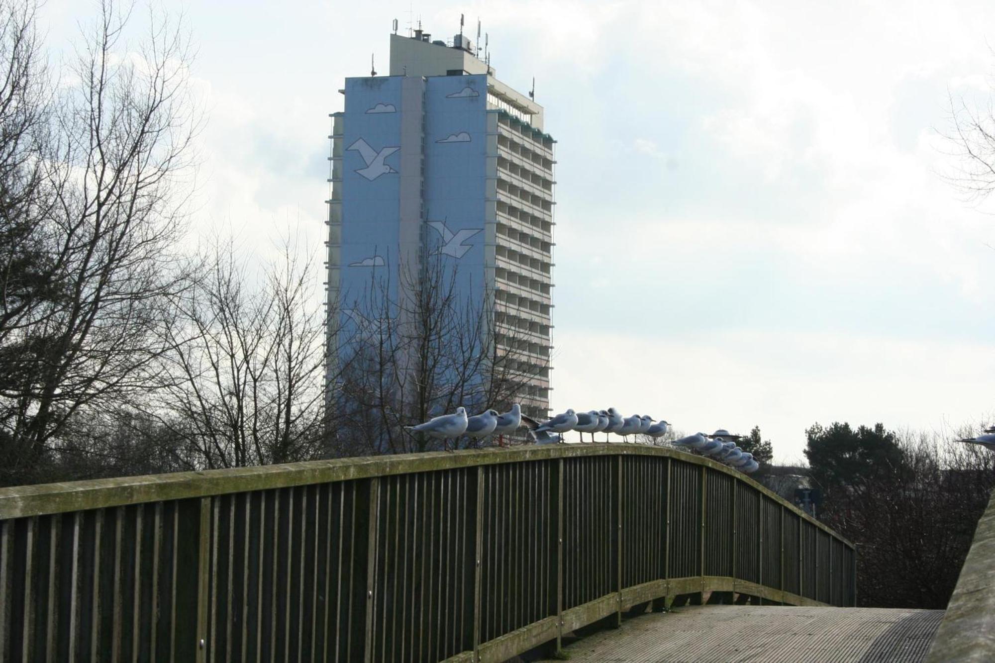 Ferienappartement K110 Fuer 2-4 Personen In Strandnaehe Бразіліен Екстер'єр фото